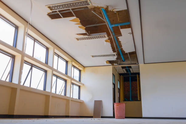 Best Fire Damage Restoration  in Strawberry Point, IA