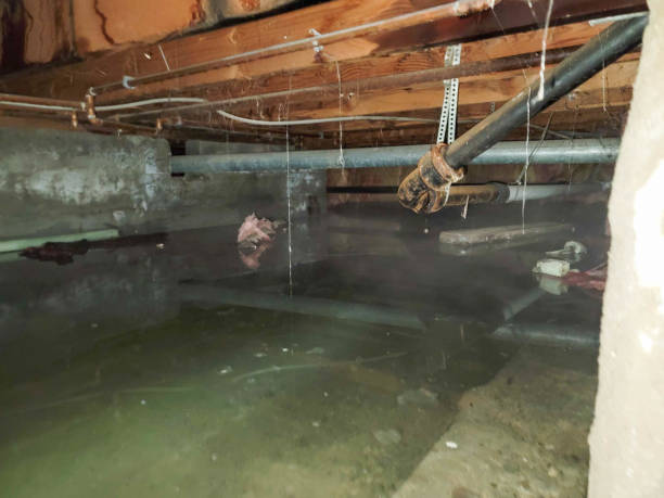 Best Water damage cleanup near me  in Strawberry Point, IA