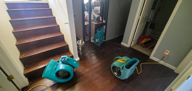 Best Sewage cleanup and water damage restoration  in Strawberry Point, IA