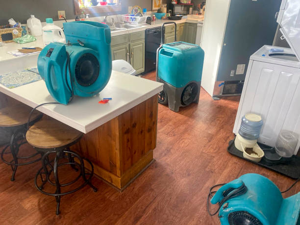 Best Mold removal after water damage  in Strawberry Point, IA
