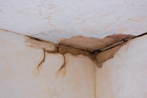 Best 24/7 water damage repair  in Strawberry Point, IA