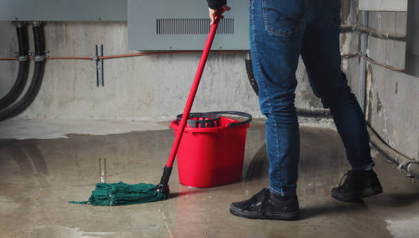 Best Water damage contractors near me  in Strawberry Point, IA