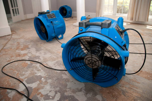 Best Water damage cleanup near me  in Strawberry Point, IA