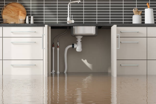 Best Water damage restoration process  in Strawberry Point, IA