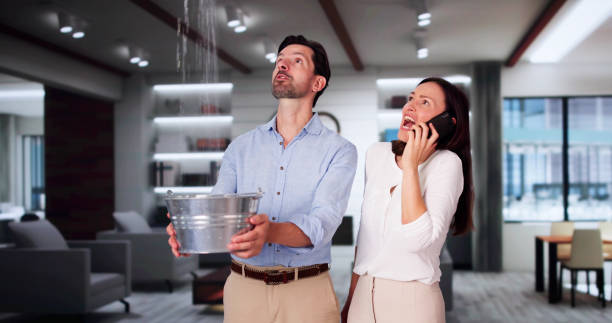 Best Basement water damage restoration  in Strawberry Point, IA