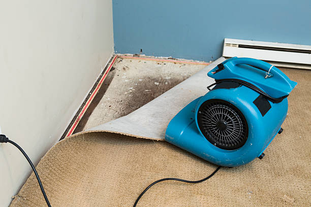Best Professional water damage repair  in Strawberry Point, IA